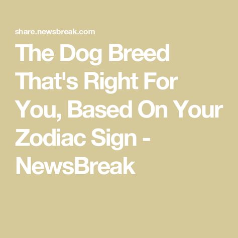 The Dog Breed That's Right For You, Based On Your Zodiac Sign - NewsBreak Guard Dog Breeds, Chesapeake Bay Retriever, Love Connection, Your Horoscope, Based On Your Zodiac Sign, American Kennel Club, Dog Signs, Guard Dogs, Country Songs