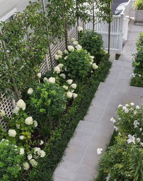 Small Courtyard Gardens, Courtyard Gardens Design, Front Garden Design, Small Courtyards, Formal Garden, Side Garden, Have Inspiration, Formal Gardens, White Gardens