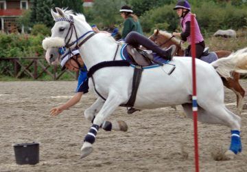 http://highbeechridingschool.co.uk/ Horse Riding School, Pony Games, Riding School, Pony Rides, Pony Club, Good Readers, Housewives Of Atlanta, Equestrian Sports, Windsor Castle