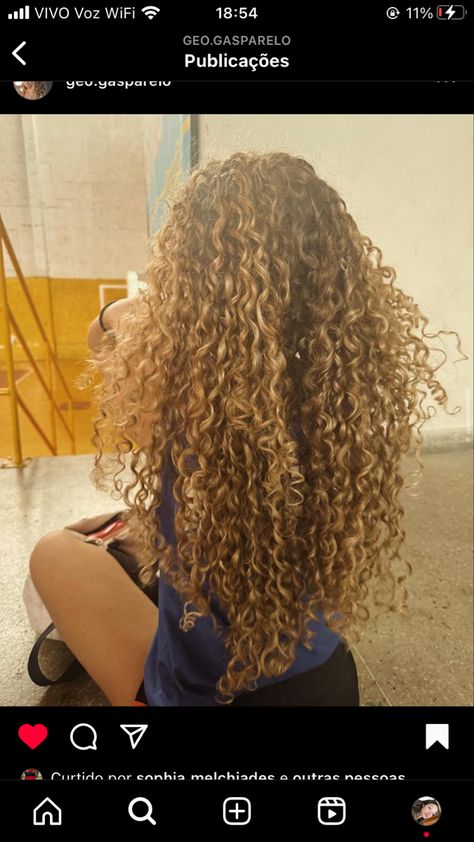 Highlight Blonde Curly Hair, Long Dyed Curly Hair, Golden Blonde Hair Black Women, Honey Blonde Hair Curly, Honey Blonde Highlights Curly Hair, Caramel Curly Hair, Honey Brown Curls, Golden Curly Hair, Honey Blonde Curly Hair