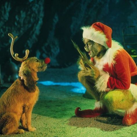 Immagini Grinch, The Grinch Dog, Funny Christmas Wallpaper, Arte Pop Up, Der Grinch, The Grinch Movie, Mr Grinch, Grinch Who Stole Christmas, Best Christmas Movies