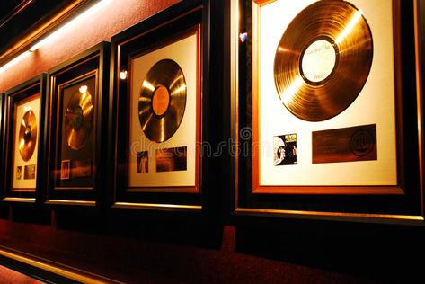 Music Awards Trophy, Award Aesthetic, Records On The Wall, Us Military Medals, Records Aesthetic, Record Wall Display, Gold Record, Records Wall, Concert Crowd