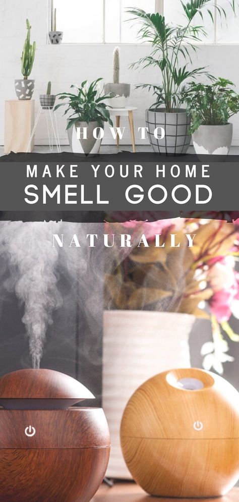 Learn how to make your house smell good at the core and all the time. Natural ways to keep your house smell good without resorting to chemicals that just cover the smell. Use plants, diffuser, natural oils and candles for a nice pleasant smell. #homesmells #cleaninghacks #cleaningtips #householdtips #cleaningtips #smellgood #homehacks Smell Good Naturally, Make Your Home Smell Good, Home Smell Good, Make Your House Smell Good, Natural Room, House Smell Good, Home Air Fresheners, Natural Air Freshener, Home Smell