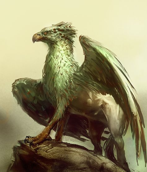 ArtStation - sketch : hyppogryph concept, Gabriel Bulik XIX Rpg Creatures, Mythical Art, Flying Creatures, Fantasy Story Ideas, D D Monsters, Mythical Animal, Fantasy Story, Medieval Fantasy, Story Ideas