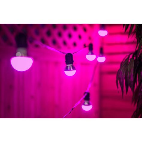 The Party Aisle 41' Outdoor 12 - Bulb Globe String Light | Wayfair Pink Patio, Paper Lantern Lights, Mini String Lights, Patio Lights, Patio String Lights, Globe String Lights, Lantern String Lights, Bulb String Lights, Lighting Companies