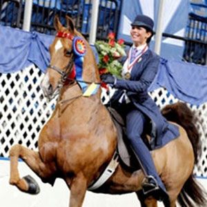 Faye Wuesthofen and Kiss of the Zodiac Saddleseat Riding, Saddlebred Horses, American Saddlebred Horses, American Saddlebred, Power Animal, Saddle Seat, Horse Property, Horse Trailers, Equestrian Riding