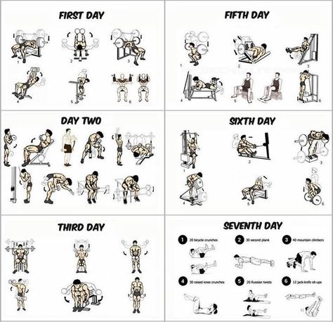 4 Day Workout, 7 Day Workout Plan, 7 Day Workout, Fitness Studio Training, Workout Plan For Men, Work Out Routines Gym, Workouts Gym, Best Workout Routine, Gym Workout Planner