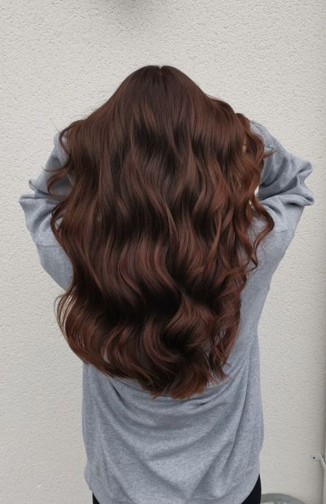 Brown Hair For Winter Brunettes, Long Dark Auburn Hair With Layers, Red Ish Brown Hair Highlights, Tint Of Red Hair Dark Brown, Roasted Chestnut Hair Color, Deep Brown Hair Red Tint, Red Undertone Brunette, Light Brown Hair With Red Tones, Chocolate Auburn Hair Balayage