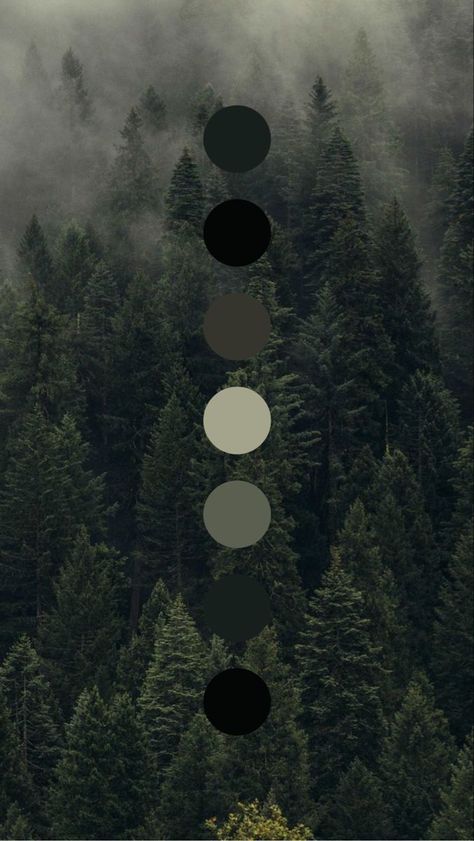 Dark Aesthetic Color Pallet, Dark Rustic Color Palette, Misty Forest Color Palette, Aesthetic Color Palettes Dark, Dark Green Pallet, Darker Color Palette, Dark Aesthetic Color Palette, Woodsy Color Palette, Nature Color Pallete