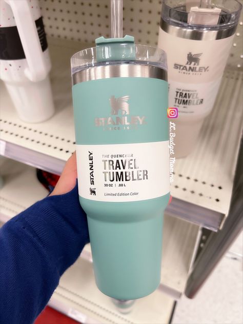 Teal Stanley Cup, Stanley Bottle, Stylish Kitchen Decor, Stanley Water Bottle, Tumblr Cup, Healthy Hydration, Trendy Water Bottles, Cute Water Bottles, Junk Food Snacks