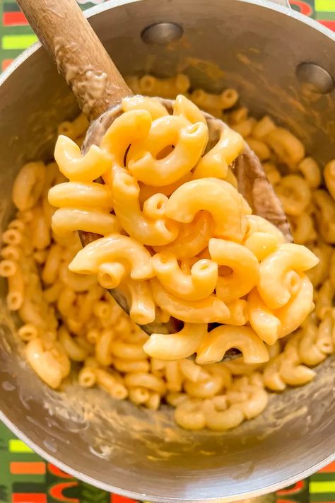 DIY Macaroni and Cheese Mix Recipe Diy Kraft Mac And Cheese, Diy Macaroni And Cheese, Homemade Kraft Mac And Cheese, Brazilian Cheese Bread Recipe, Homemade Macaroni And Cheese, Cheddar Cheese Powder, Cheese Powder, Best Mac And Cheese, Small Pasta