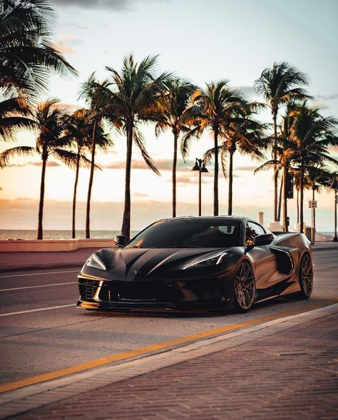 Black Corvette, Car Hub, Black Cars, Corvette C8, Lovely Car, Street Racing Cars, Sweet Cars, Best Luxury Cars, Chevy Corvette