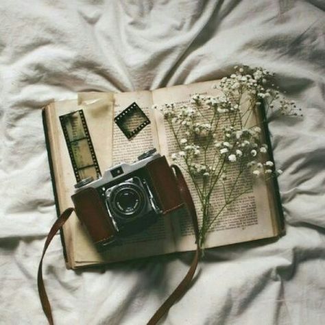 Immagine di book, flowers, and camera Old Cameras Aesthetic, Cameras Aesthetic, Camera Aesthetic, Old Cameras, Old Camera, Vintage Cameras, Jolie Photo, Brown Aesthetic, Vintage Camera