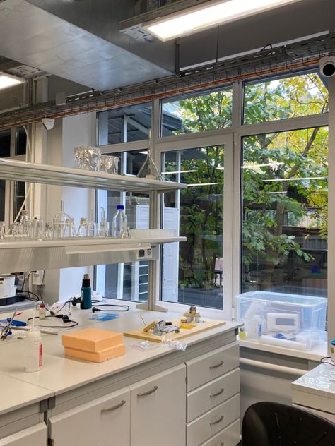 ITMO UNIVERSITY chemistry laboratory autumn Chemical Laboratory Aesthetic, Lab Astethic, Lab Work Aesthetic, Research Lab Aesthetic, Lab Aesthetic Science, Lab Research Aesthetic, Science Lab Aesthetic, Chemistry Lab Aesthetic, Aesthetic Laboratory