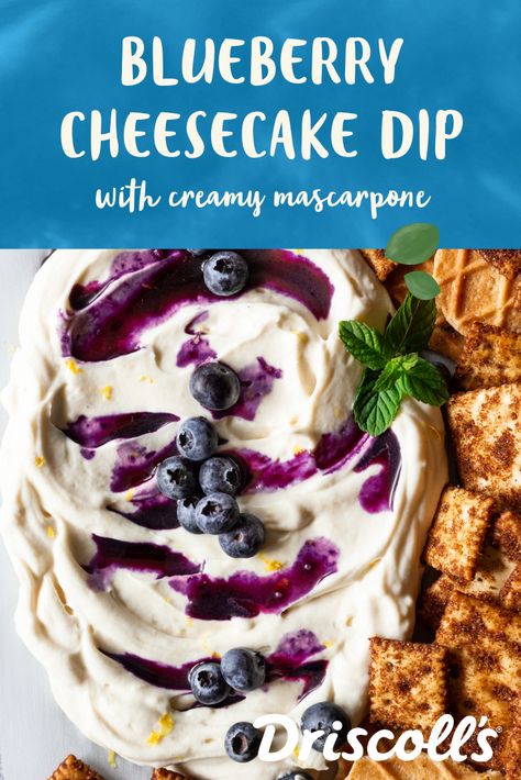 The muss and fuss of a traditional cheesecake? You won't find it here, friends. This easy fruit dip has the rich flavor of blueberry cheesecake without any of the baking! A light lemon accent pairs perfectly with the blueberries making this easy appetizer or simple dessert vibrant, satisfying, and full of flavor. Berry Appetizers, Blueberry Dip, Blueberry Cheesecake Dip, Blueberry Lemon Cheesecake, Traditional Cheesecake, Easy Fruit Dip, Cheesecake Dip, Blueberry Syrup, Simple Dessert