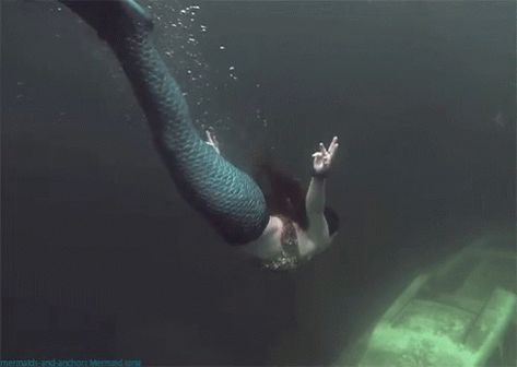 Mermaid Siren GIF - Mermaid Siren GIFs Siren Gif, Mermaid Gifs, Realistic Mermaid, Mermaid Stories, Mermaid Photography, Mermaid Siren, Mermaid Man, H2o Mermaids, Fantasy Mermaids