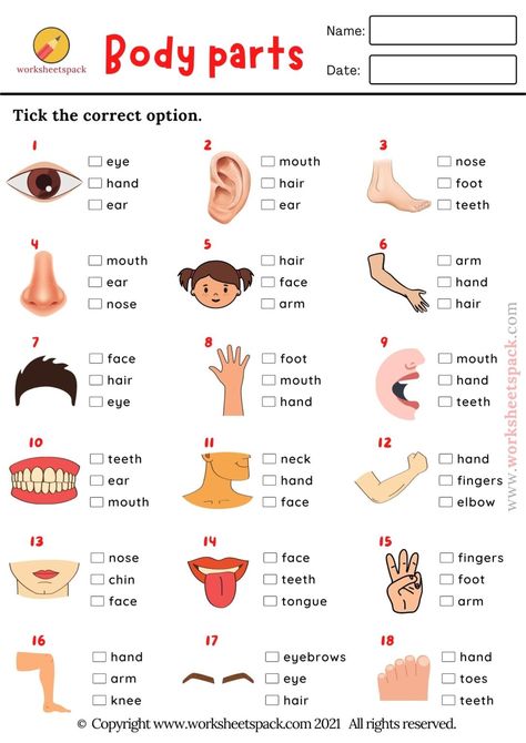 ESL Free Quizzes for Kids - worksheetspack Parts Of The Body In English, 1 Class Worksheets English, Part Of The Body Activities, Parts Of Body Activity, Part Of The Body For Kids, Parts Of The Body For Kids Worksheet, Part Of Body For Kids, Body Parts Worksheet For Grade 1, Parts Of The Body Worksheet Kindergarten