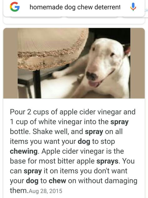 Anti Chew Spray For Dogs Diy, Dog Deterrent Spray, Dog Deterrent, Flea Remedies, Essential Oils Dogs, Phrase Tattoos, Dog Remedies, Puppy Chewing, Diy Sprays