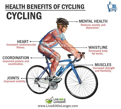 Save Benefits Of Cycling, Cycling Training Plan, Cycling Benefits, Bike Riding Benefits, Types Of Cardio, Cycle Training, Cycling Quotes, Low Intensity Workout, Cycling Race