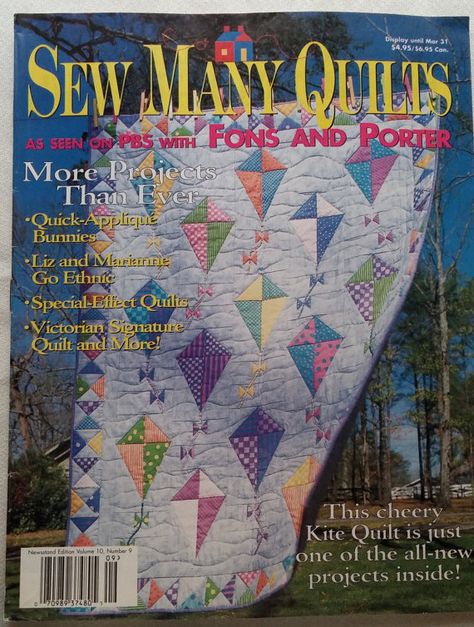 Kite Quilt, Signature Quilts, Quilt Display, Special Effects, Size Pattern, Craft Materials, See Picture, Mars, Crafts To Make