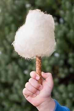 Cotton Candy Sticks Diy, Cotton Candy Fall Festival, Christmas Cotton Candy Ideas, Diy Cotton Candy Cones, Cotton Candy Cones Diy, Cotton Candy Stand, Cotton Candy Sticks, Cotton Candy Cone, Cones Diy