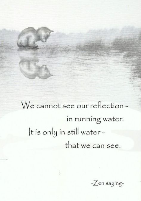 Water Reflection Quotes, Yoga Foto's, Zen Proverbs, Draw Wings, Water Quotes, Lao Tzu Quotes, Zen Quotes, Reflection Quotes, Buddhism Quote