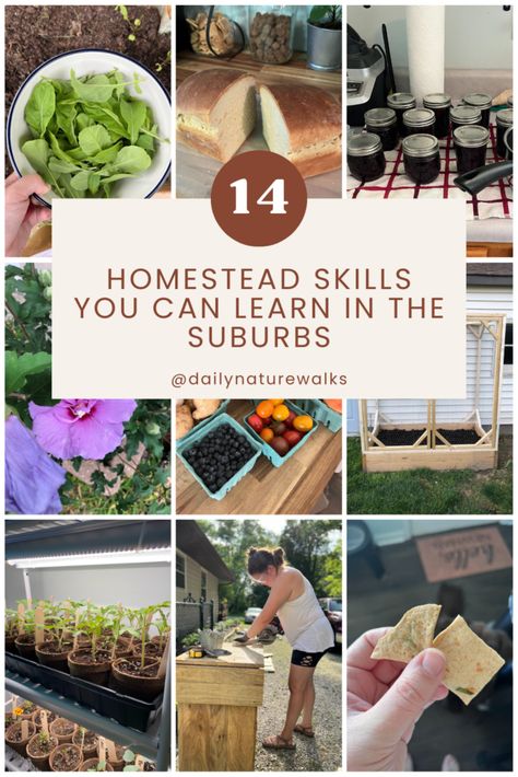 14 homestead skills you can learn in the suburbs (while saving for land) Homestead Without Land, Urban Homesteading For Beginners, Homesteading In The City, Homestead Skills To Learn, Homestead In An Apartment, Beginner Homesteading Skills, Homesteading In The Suburbs, Best Place To Homestead, Micro Homesteading