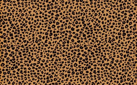 Free download Pics Photos Cheetah Background for Desktop, Mobile & Tablet. [1920x1200]. 70+ Cheetah Background Pictures on WallpaperSafari Paw Print Background, Cheetah Print Background, Cheetah Background, Best Hd Background, Background Animal, Cheetah Print Wallpaper, Print Twitter, Studio Ghibli Background, Scandinavian Wallpaper