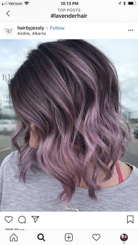 Ash And Purple Hair, Blue Lowlights In Brown Hair, Purple Brown Hair, Short Balayage, Hair Jazz, Hidden Hair Color, Mushroom Hair, Plum Hair, Ash Brown Hair