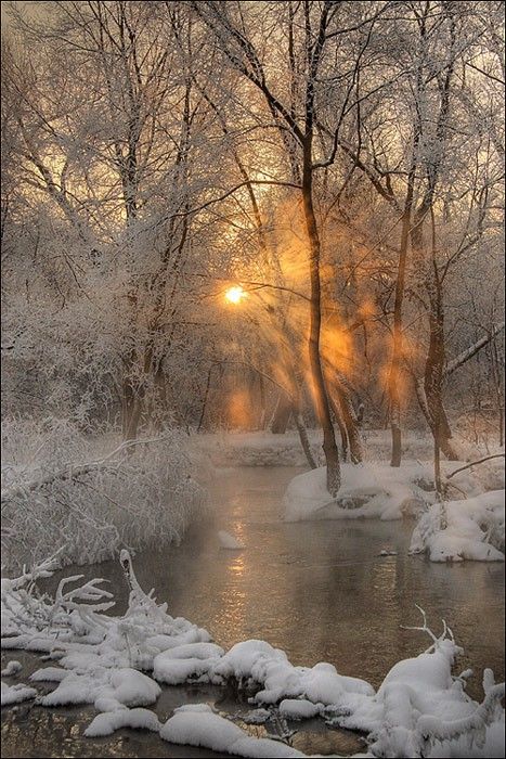 - Snow And Trees, Era Victoria, Winter Scenery, Outdoor Photos, Winter Beauty, Snow Scenes, Winter Wonder, Alam Yang Indah, 60 Seconds