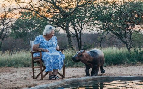 Daphne Sheldrick, Elephant Rescue, Sheldrick Wildlife Trust, Helping Animals, Wild Baby, Rehabilitation Center, Amazing Woman, Animals Friendship, Puppy Mills