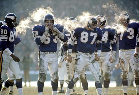 Viking Football, Sports Reference, Metropolitan Stadium, Viking Baby, Real Vikings, Nfl Championships, Minnesota Vikings Football, Nfl Football Players, Nfl Photos