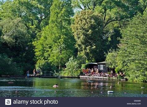 Download this stock image: London, Hampstead Heath, south end ponds, the mixed bathing pond in Summer. - D50A85 from Alamy's library of millions of high resolution stock photos, illustrations and vectors. London Hampstead, Hampstead Ponds, 24 Hours In London, London Fields, Hampstead Heath, Outdoor Movie, Things To Do In London, London Photos, Outdoor Swimming