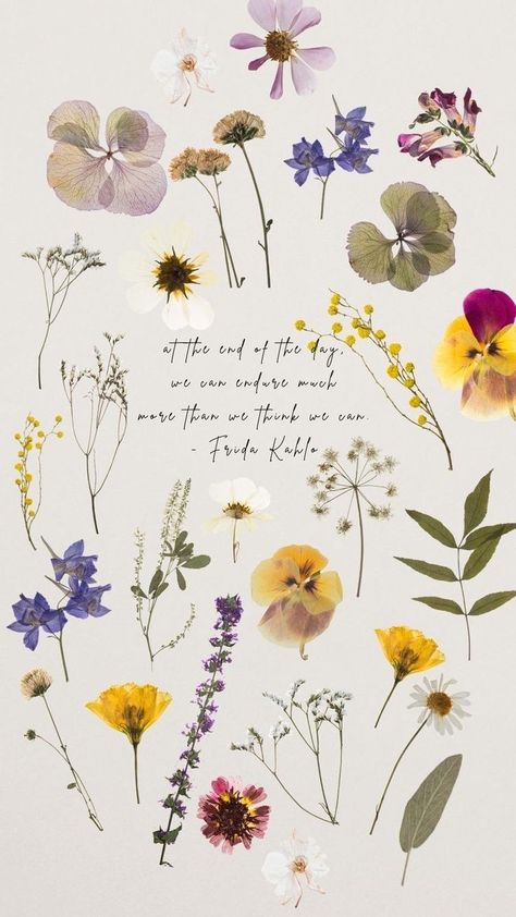 Pressed Flower Background, Pressed Flowers Wallpaper, Floral Wallpaper Iphone Aesthetic, Pressed Flower Wallpaper, Flor Iphone Wallpaper, Flower Desktop Wallpaper, Flower Quotes, Flower Backgrounds, Flower Images