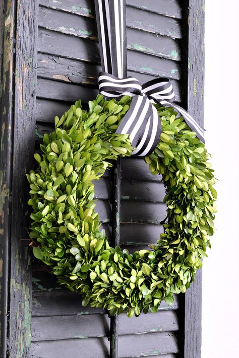 a boxwood wreath hung with black and white ribbon on a black chippy shutter complement each other on the dining room wall. Boxwood Wreath Ideas, Hanging Wreath With Ribbon, Ribbon On Wreath, Black And White Wreath, Boxwood Wreath With Bow, Boxwood Wreath And Ribbon, Boxwood Wreath With Ribbon, Wreath With Black And White Ribbon, Boxwood Wreath Front Door Twoinspireyou