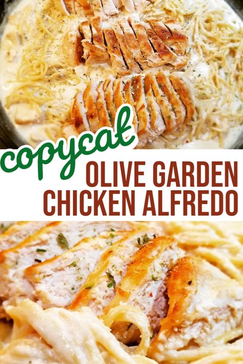 Chicken Alfredo Recipe Easy, Alfredo Recipe Easy, Olive Garden Chicken Alfredo, Olive Garden Chicken Alfredo Recipe, Fetuchini Alfredo, Copycat Olive Garden Chicken, Olive Garden Alfredo Sauce Recipe, Simple Chicken Alfredo Recipe, Chicken Alfredo Recipe