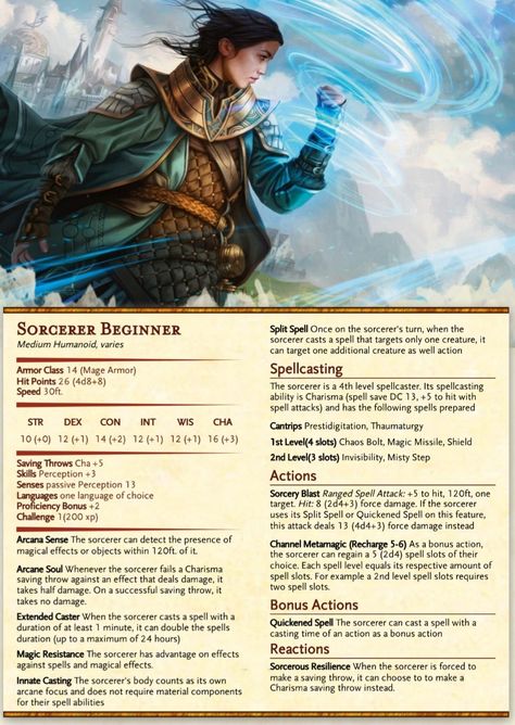 Dnd Sorcerer, Dnd 5, Dnd Stats, Dungeon Master's Guide, Dnd Classes, Dungeons And Dragons Classes, Dnd 5e Homebrew, D D Monsters, Dnd Dragons