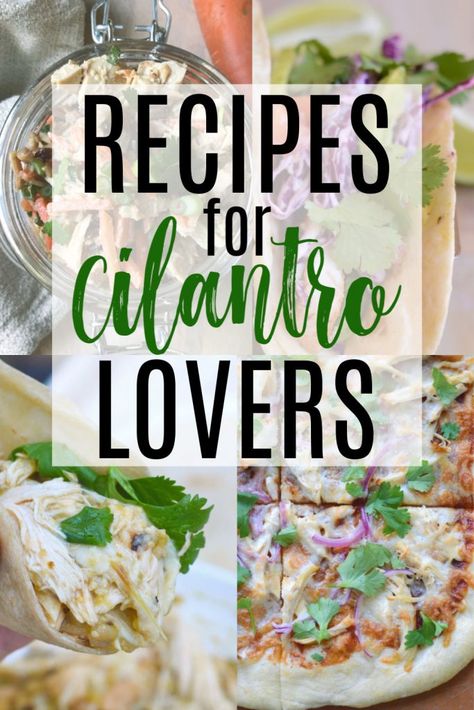 Recipes Using Cilantro Dinners, Healthy Recipes With Cilantro, Uses For Cilantro Recipe, Cilantro Side Dish, Food With Cilantro, Dried Cilantro Recipes, Recipes For Cilantro, Cilantro Recipes Ideas Dinners, Cilantro Dinner Recipes