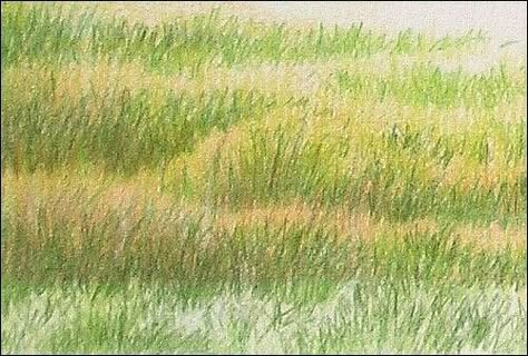 ● ○ ● Grass with color pencil ● ○ ● Color Pencil Texture, Colored Pencils Techniques, Colour Pencil Art Landscapes, Drawing Art Projects, Watercolor Pencils Techniques, Grass Drawing, Pencil Texture, Ideas For Drawing, Pencil Sketchbook