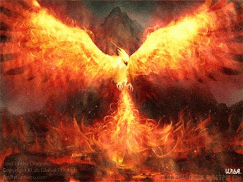 Fenixtotal GIF - Fenixtotal - Discover & Share GIFs Phoenix Artwork, Phoenix Images, Vogel Tattoo, Thigh Tattoo Designs, Phoenix Tattoo Design, Bug Tattoo, Cross Wallpaper, Phoenix Art, Fire Photography