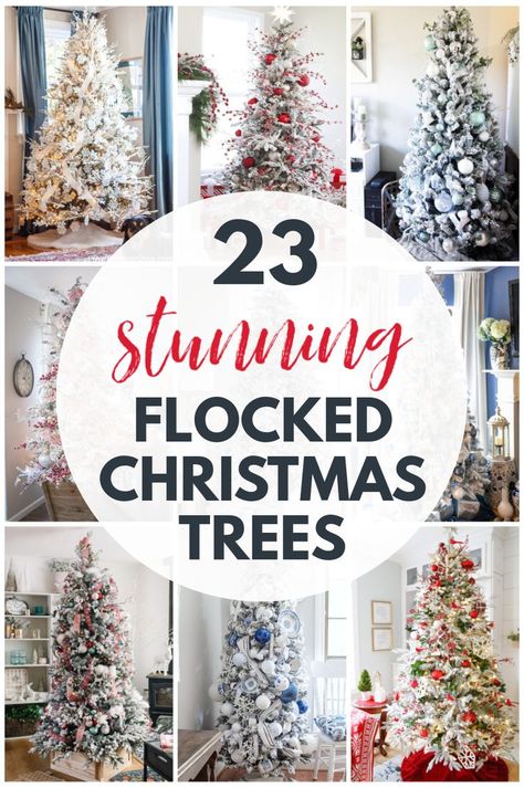 Non Flocked Christmas Tree, Flocked Pine Christmas Tree, 7ft Flocked Christmas Tree, Christmas Tree Frosted Decorating Ideas, Flocked Tree With Vintage Ornaments, Flocked Tabletop Christmas Trees, Christmas Tree Inspiration Flocked, Christmas Flocked Tree Decorations, Red White Flocked Christmas Tree