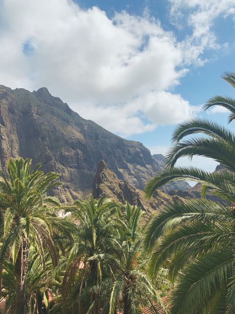 Tenerife Masca Mountains Island Volcano Aesthetic green Desert Spain BlackDiamond View flowers Stranded Island Aesthetic, Desert Island Aesthetic, Stranded Aesthetic, Stranded On An Island Aesthetic, Canary Islands Aesthetic, Azores Aesthetic, Daylight Aesthetic, Summer Court, Lost Island