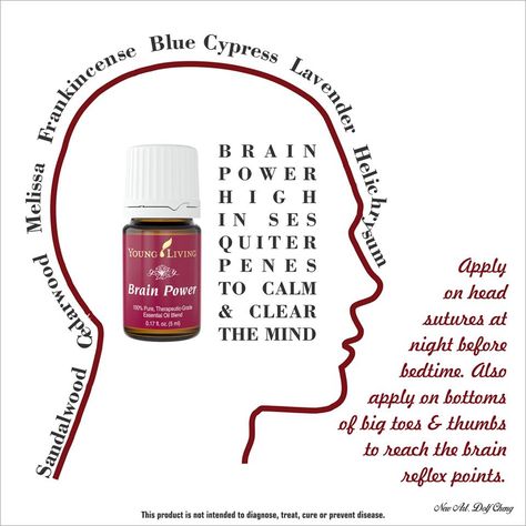 Brain Power essential oil for a calm and clear mind. Brain Power Young Living, Grain Brain, Love Essential Oils, Young Living Products, Oils For Health, Essential Oils Blends, Essential Oils Health, Coconut Oil Uses, Yl Essential Oils