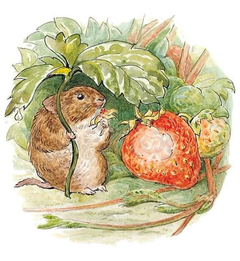 Mouse And Strawberry, Beatrix Potter Illustrations, Beatrice Potter, Cottage Core Art, Peter Rabbit And Friends, 동화 삽화, Cottagecore Art, Storybook Art, Fairytale Art