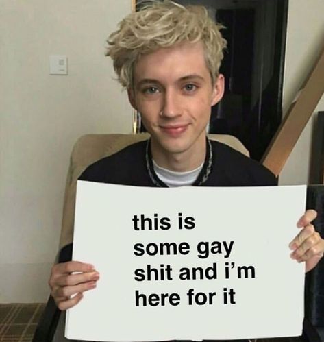 Troye Sivan Funny, Marauders Instagram, Gay Sticker, Lgbt Memes, We Back, Lgbtq Stuff, Gay Humor, Gay Memes, Troye Sivan