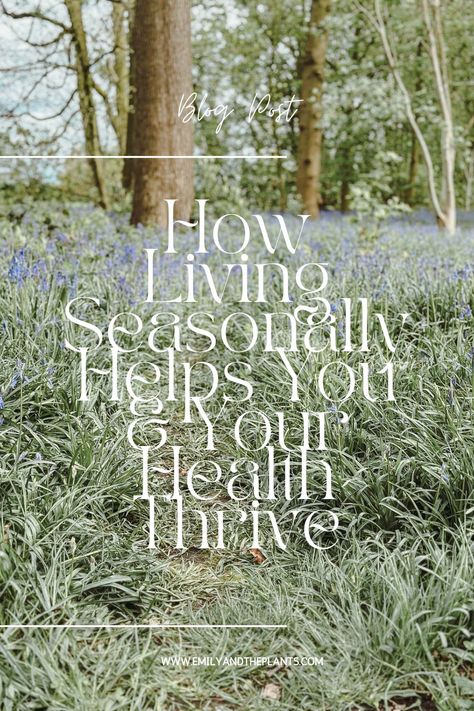 Just as the Earth goes through cycles, so do our lives. By embracing the essence of each season and aligning ourselves with its energy, we can enhance our productivity, find balance, and create space for rest and rejuvenation. Here’s how living seasonally is more than just seasonal activity and how leaning into the changes in nature can actually help you to stay healthy, productive and live happier Living With The Seasons, Quote About Seasons Of Life, Seasonal Affective Quotes, September Wellness, Atoms And Elements, Living Seasonally, Ayurveda Seasons, Natural Bedroom Decor, Natural Bedroom