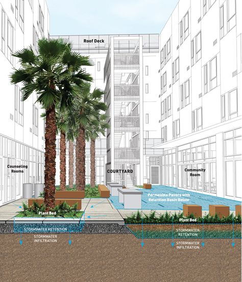 andrea cochran palm - Google Search Andrea Cochran, Sponge City, Permeable Pavers, Stormwater Management, Water Management, Rain Garden, Landscape Drawings, Sustainable Architecture, Green Roof