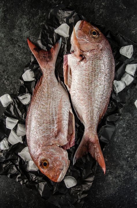 Fresh Fish Photography, Fish Food Photography, Baked Snapper, Fish Photography, Surealism Art, Fresh Meat, Fresh Fish, Jolie Photo, Fish Dishes