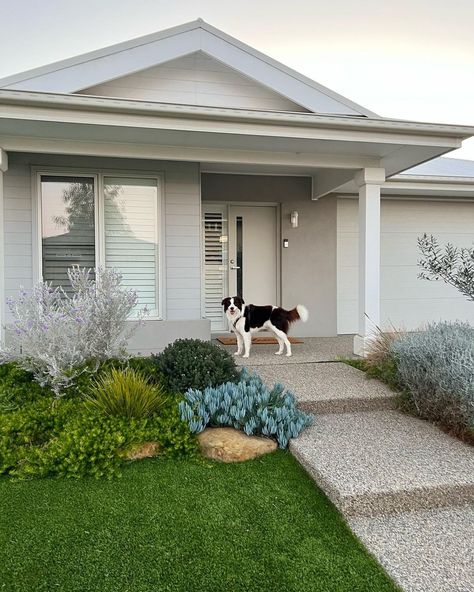 It’s Archie’s house, we’re just paying for the mortgage 💸🤭 | Instagram Hampton Front Yard, Surfmist Exterior, Hamptons Front Garden, Hamptons Landscaping, Brisbane House, Modern House Colors, Bungalow Garden, Coastal Styling, Hampton Garden