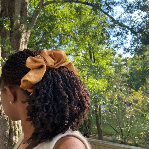 🌲🌼 Black Natural Hairstyles Curly, Twists Hairstyles For Natural Hair, Twist Braids Hairstyles Natural Hair, Natural Hair Aesthetic, Braided Natural Hairstyles, Natural Twist Hairstyles, Natural Hair Goals, Mini Twists Natural Hair, Black Braided Hairstyles